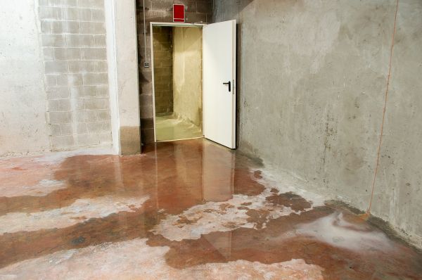 Cost of Wet Basement Repair in Livonia